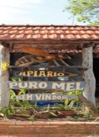 Apiario Puro Mel